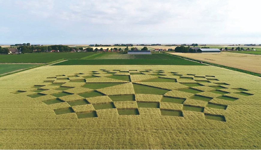 Tekenen in Bildtse graanakkers