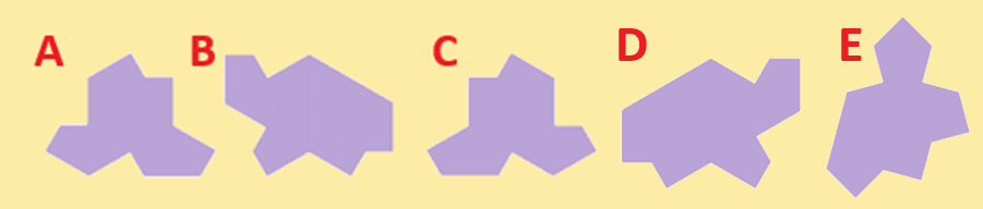 Figuur 1 - Hoed en Schildpad met hun spiegelbeelden en Spook
