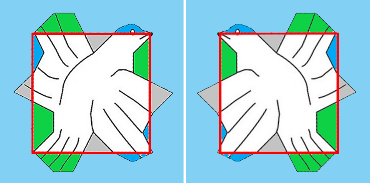 Figuur 3 - Twee papegaaien, elkaars spiegelbeeld